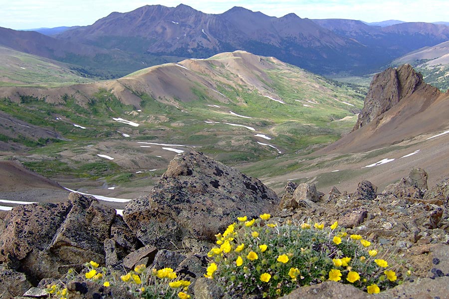 Wild Places - Gallery - John Baldwin